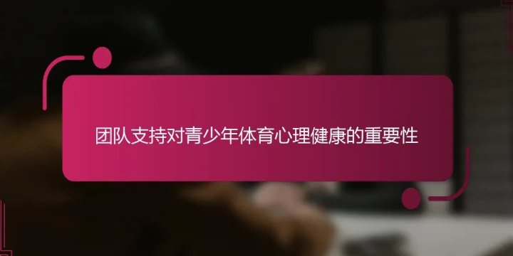 团队支持对青少年体育心理健康的重要性