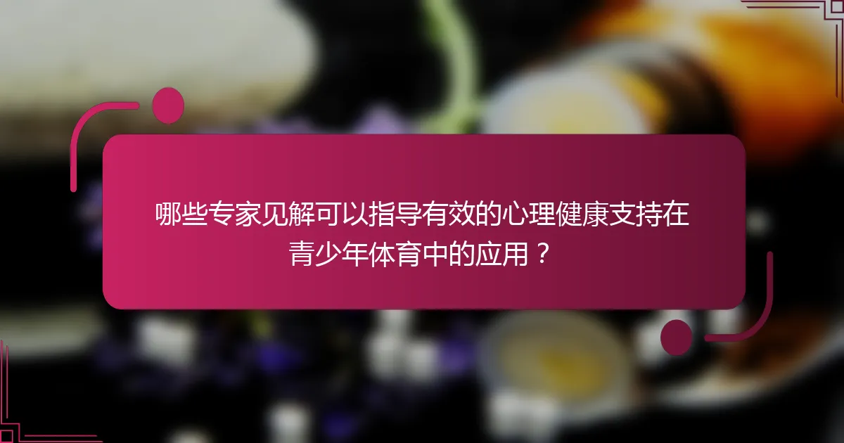 哪些专家见解可以指导有效的心理健康支持在青少年体育中的应用？