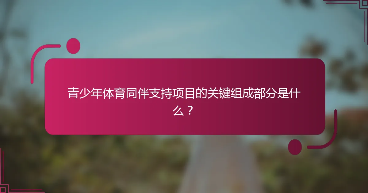 青少年体育同伴支持项目的关键组成部分是什么？
