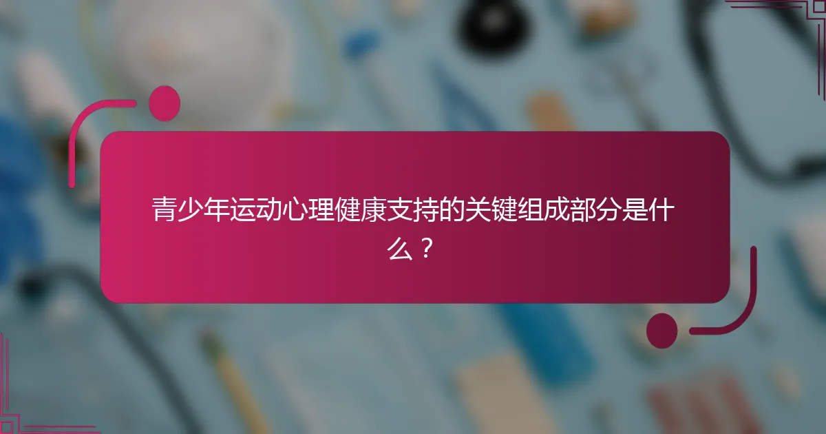 青少年运动心理健康支持的关键组成部分是什么？