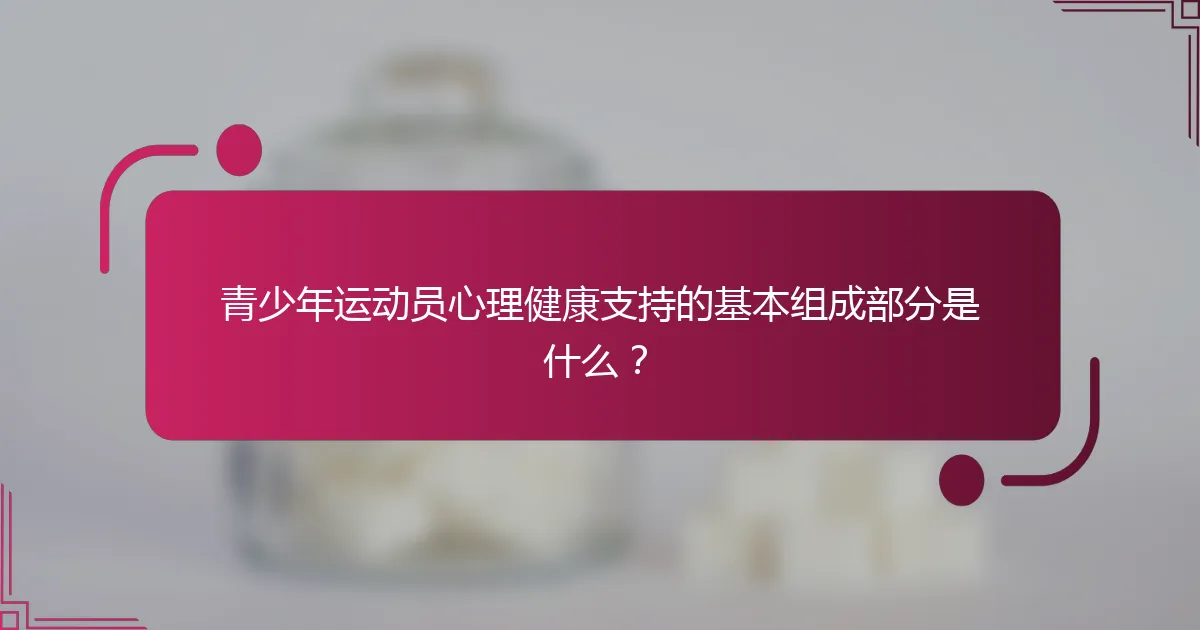 青少年运动员心理健康支持的基本组成部分是什么？