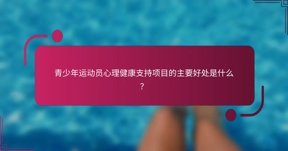 青少年运动员心理健康支持项目的主要好处是什么？
