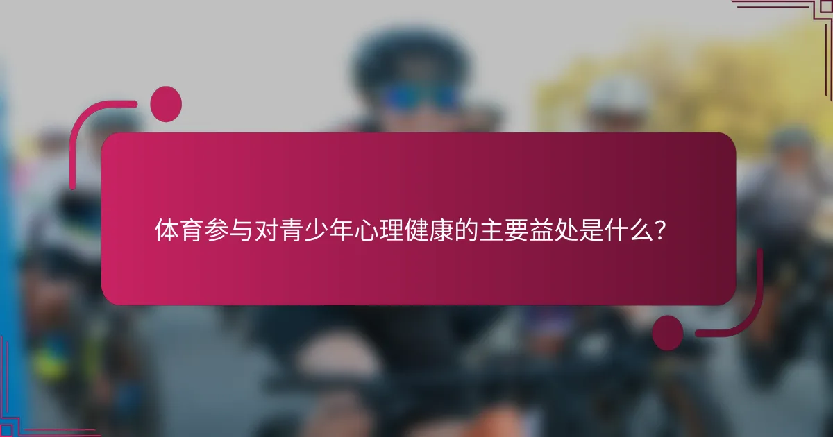 体育参与对青少年心理健康的主要益处是什么？