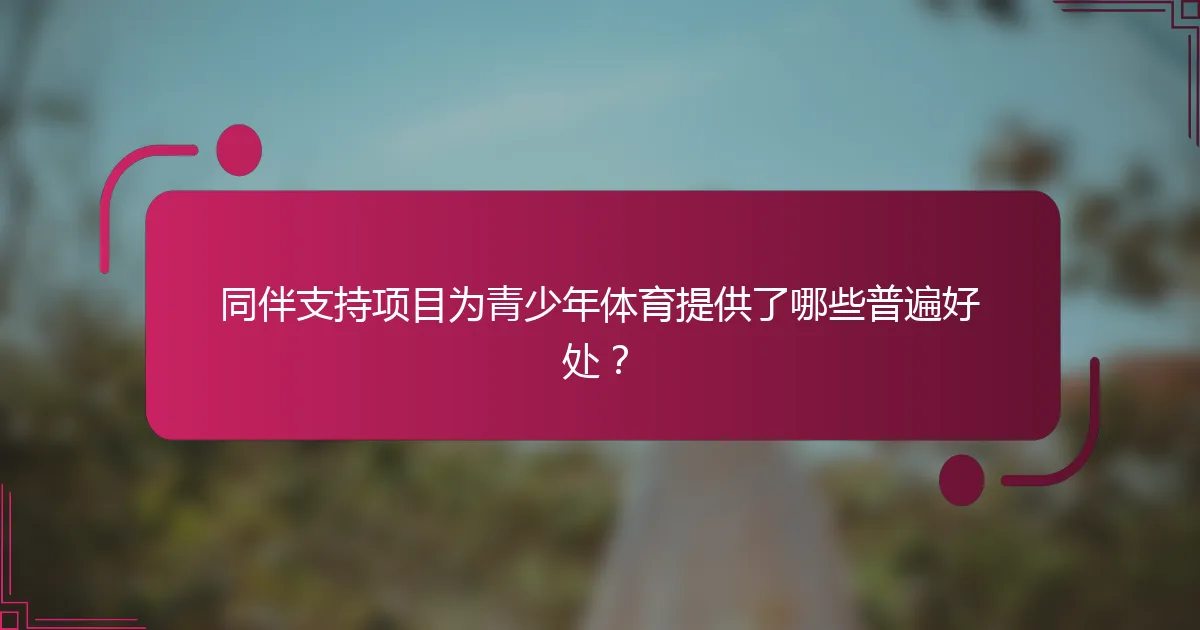 同伴支持项目为青少年体育提供了哪些普遍好处？